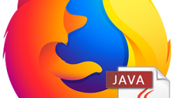      Java Flash  